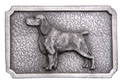 Dogs & Cats