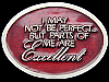 GREAT VINTAGE 1970s I MAY NOT BE PERFECT... BELT BUCKLE