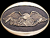 AWESOME VINTAGE 1976 UNITED WE STAND SOLID BRASS BUCKLE