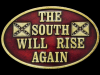 COOL VINTAGE 1978 THE SOUTH WILL RISE AGAIN BELT BUCKLE