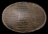 1980s TONY LAMA **LIZARD SKIN** LEATHER WESTERN BUCKLE