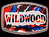 COOL VINTAGE 1970s WILDWOOD SOUVENIR SILVER BELT BUCKLE