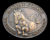 *11th ANNIVERSARY AMERICAN INDIAN YOUTH* HORSE BUCKLE