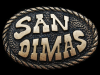 NICE VINTAGE 1970s ***SAN DIMAS*** SOUVENIR BELT BUCKLE