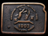 1993 UNDERGROUND OVERHEAD METERING SCHOOL KANSAS BUCKLE