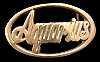 REALLY GREAT 1970s *AQUARIUS* SOLID BRASS BELT BUCKLE