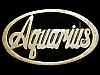 COOL VINTAGE 1970s AQUARIUS ASTROLOGY SIGN BRASS BUCKLE