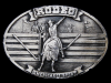 GREAT VINTAGE 1977 RODEO AMERICA'S #1 SPORT BELT BUCKLE
