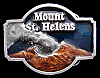 GREAT 1980 *MOUNT ST. HELENS* COMMEMORATIVE BELT BUCKLE