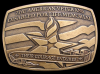 *AMERICAN VETERANS DISABLED FOR LIFE MEMORIAL* BUCKLE