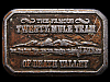 1970s *FAMOUS TWENTY MULE TEAM OF DEATH VALLEY* BUCKLE