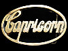 COOL VINTAGE 1970s CUT-OUT CAPRICORN SOLID BRASS BUCKLE