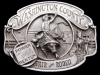 COOL VINTAGE 1989 WASHINGTON COUNTY FAIR & RODEO BUCKLE
