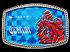 COOL VINTAGE 1970s GEMINI MAY 21 TO JUNE 20 BELT BUCKLE
