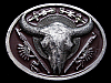 COOL VINTAGE 1991 SOUTHWEST STYLE BUFFALO SKULL BELT BUCKLE
