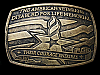 2007 ****THE AMERICAN VETERANS DISABLED FOR LIFE MEMORIAL**** BELT BUCKLE