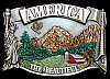**NOS** VINTAGE 1983 ***AMERICA THE BEAUTIFUL*** LIBERTY, FLAG, & FARM BUCKLE