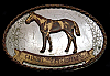 GREAT VINTAGE 1970s ***SHOW HORSE*** RODEO COWBOY TROPHY BUCKLE