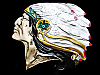 AWESOME VINTAGE 1976 *FACE OF CHIEF JOSEPH* BELT BUCKLE