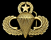 **NOS** VINTAGE 1970s ***PARATROOPER WINGS*** BELT BUCKLE