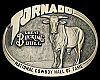 GREAT VINTAGE 1983 ***TORNADO - RODEO BUCKING BULL*** SOLID BRASS BUCKLE