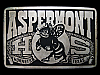 VINTAGE 1970s ASPERMONT HORNETS HIGH SCHOOL TEXAS BELT BUCKLE